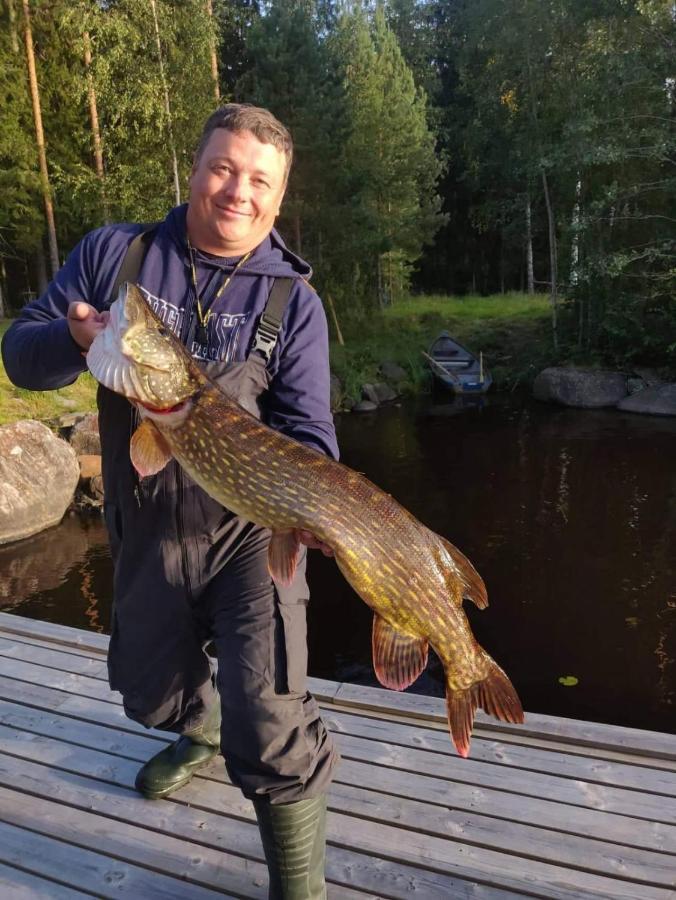 Viihtyisae Hirsimoekki Jaerven Rannalla Siikainen Buitenkant foto